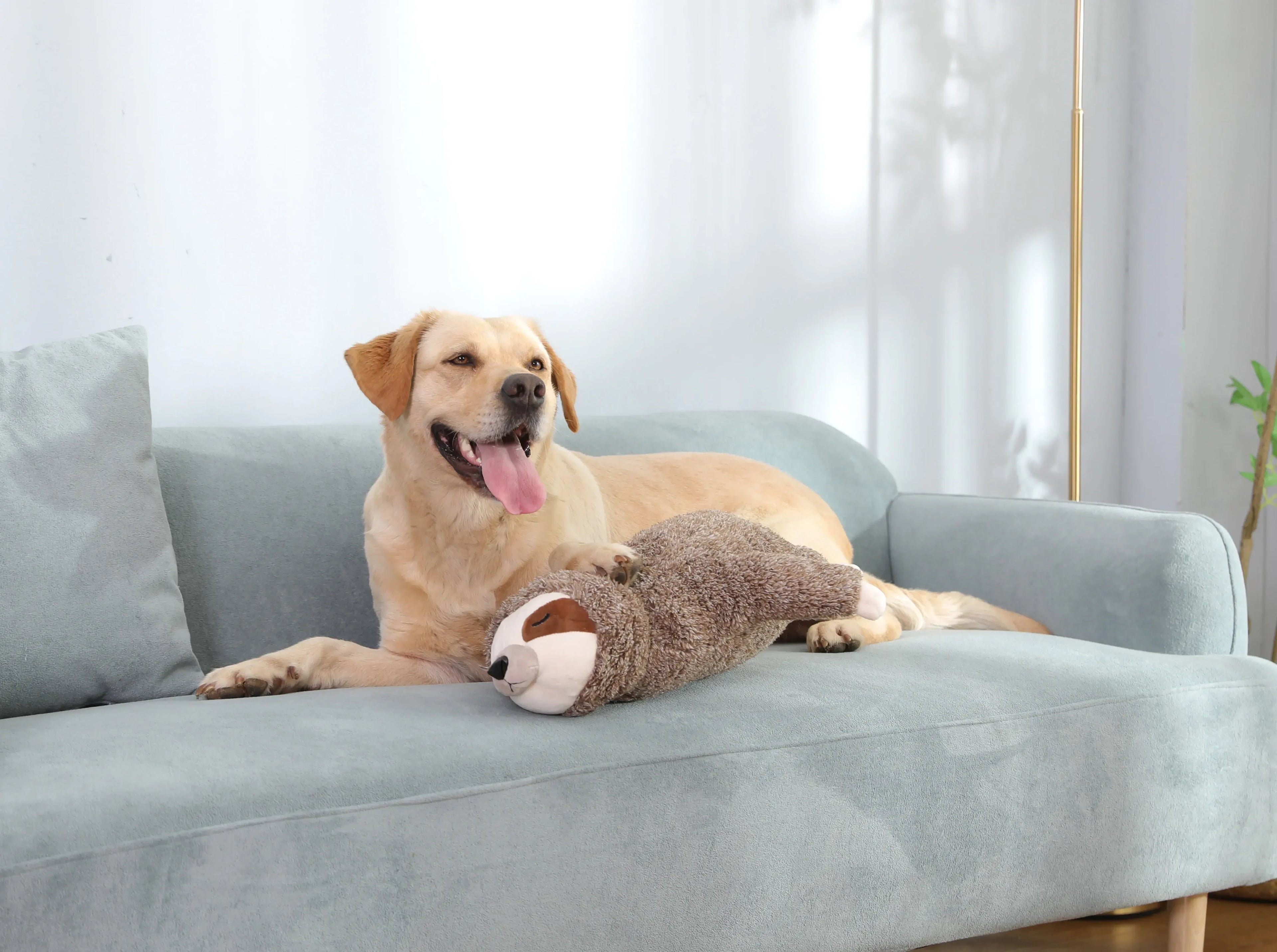Forest Sloth Heartbeat Soothing Puppy Toy